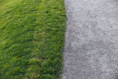 Tuğla bir duvarın arka planında çiçek tarhında yemyeşil şakayıklar. Bahçe düzenleme. Ebedi çiçekli bitkiler.