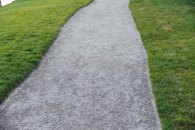 Tuğla bir duvarın arka planında çiçek tarhında yemyeşil şakayıklar. Bahçe düzenleme. Ebedi çiçekli bitkiler.