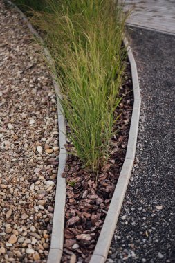 Tuğla bir duvarın arka planında çiçek tarhında yemyeşil şakayıklar. Bahçe düzenleme. Ebedi çiçekli bitkiler.