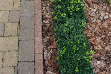 güzel yaz Bahçesi kendine yol virajlı bir geçit ile