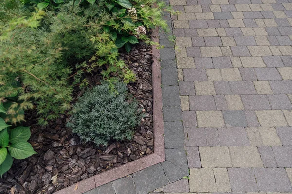 Beau Jardin Été Avec Une Passerelle Serpentant Son Chemin Travers — Photo