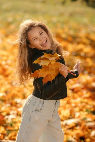 Portret Van Een Meisje Dat Gele Bladeren Verzamelt Het Herfstpark — Stockfoto