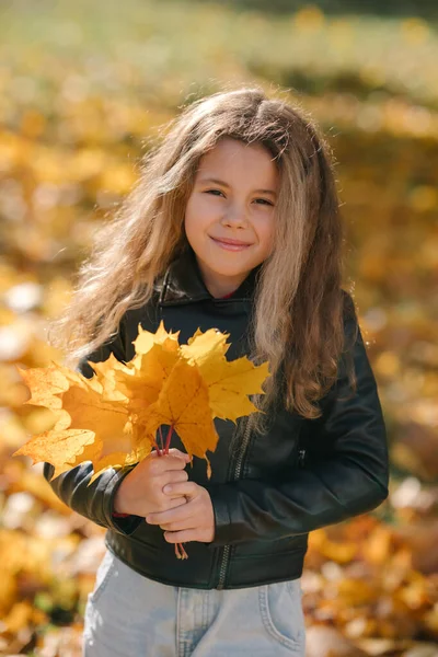 Portret Van Een Meisje Dat Gele Bladeren Verzamelt Het Herfstpark — Stockfoto