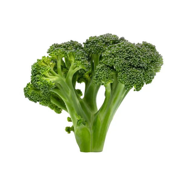 Beyaz Arkaplanda Brokoli — Stok fotoğraf