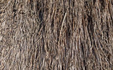 Eski kek samanının arkaplanı