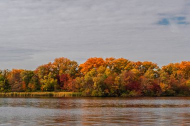 Sonbahar renklerinde boyanmış ağaçlar nehrin sularına yansımaktadır. Güzel sonbahar havası.