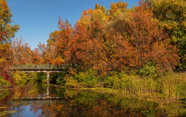 Drzewa Malowane Jesienią Odbijają Się Wodach Rzeki Ładna Jesienna Pogoda — Zdjęcie stockowe