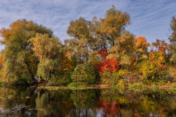Stromy Malované Podzimních Barvách Odrážejí Vodách Řeky Pěkné Podzimní Počasí — Stock fotografie