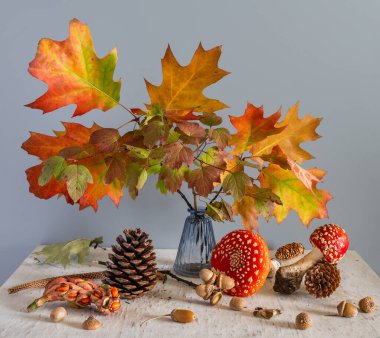 Sonbahar yapraklı meşe dalları. Kırmızı sinek agarikleri ve meşe palamutları.