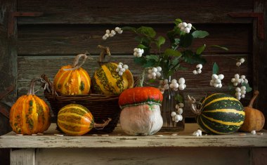 Masada olgun balkabakları var. Böğürtlenli bir buket dal. Geriye dönük natürmort.