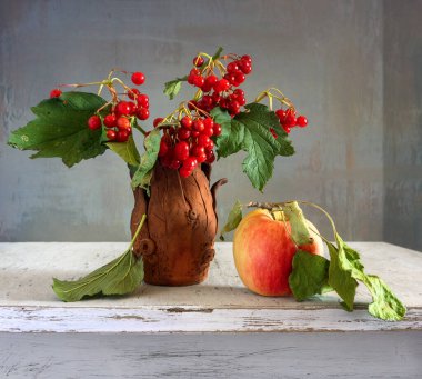 Olgun viburnum meyveleriyle dolu bir dal ve yapraklı olgun bir elma..