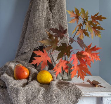 Akçaağaç yapraklı bir dal vazoda. Yapraklarda sonbahar renkleri. Olgun ve lezzetli armutlar.