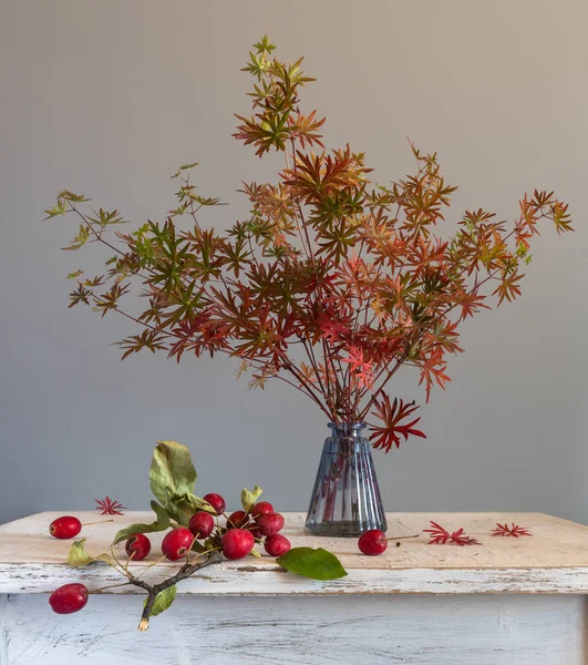 Strauß Aus Zweigen Von Waldvioletten Mit Herbstblättern Und Roten Beeren — Stockfoto