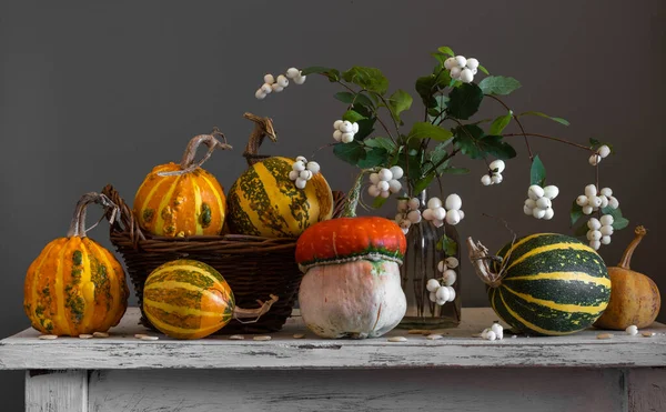 Des Citrouilles Mûres Sur Table Bouquet Branches Avec Des Baies — Photo