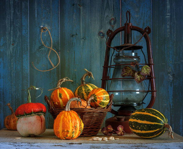 Ripe and tasty pumpkins on the table. Harvested harvest. An old kerosene lamp. Retro still life.