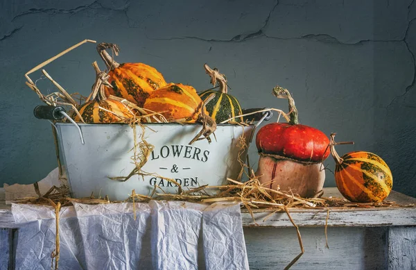 Citrouilles Mûres Savoureuses Sur Table Récolte Nature Morte Rétro — Photo