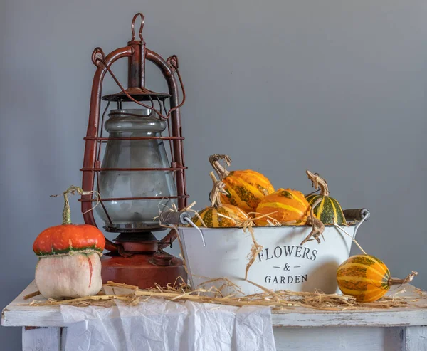 Citrouilles Mûres Savoureuses Sur Table Récolte Une Vieille Lampe Kérosène — Photo