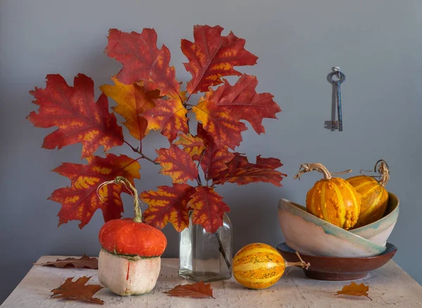 Vazoda sonbahar yaprakları olan bir dal. Yapraklarda sonbahar renkleri. Olgun küçük balkabakları. Eski soyulan sürahi