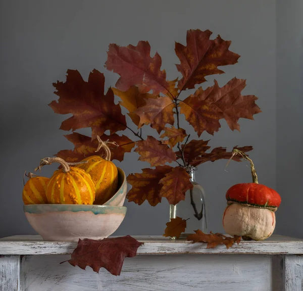 Vazoda sonbahar yaprakları olan bir dal. Yapraklarda sonbahar renkleri. Olgun küçük balkabakları. Eski soyulan sürahi