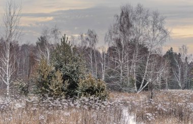 Karlı bir çayırda akşam