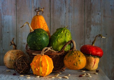 Hasat edilmiş bir balkabağı ve hasır sepetle dolu bir hayat. Eski.