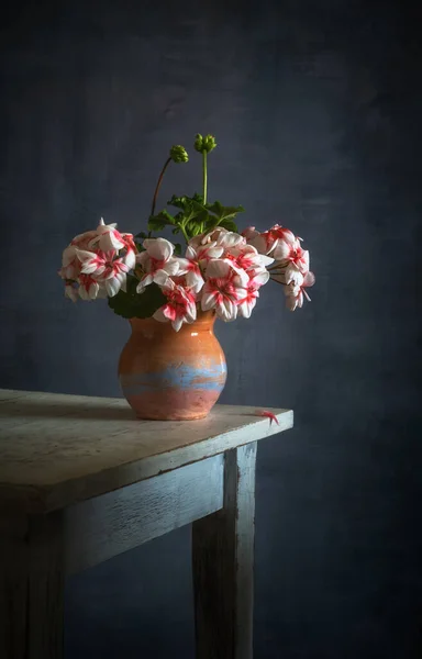 Bukiet Pelargonii Kwiatowych Wazonie Ceramicznym — Zdjęcie stockowe