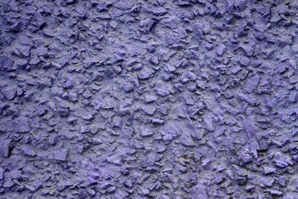 Blå och lila vägg stuckatur textur bakgrund. Dekorativ väggfärg — Stockfoto