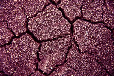 Kuraklık sırasında kuru ve çatlak zemin. Gri kurumuş ve çatlamış toprak arka planı, kuru çatlak zemini, çatlak yüzeyi, beyaz çatlamış dokuyu tasarımcılar için kapatın.