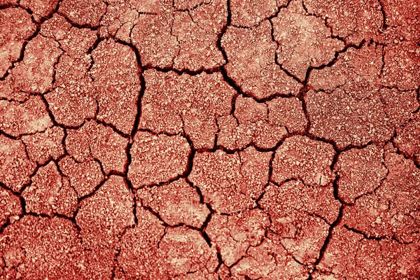 Full Frame Shot Of Cracked Land. Desert. Dry cracked earth texture — Stock Photo, Image