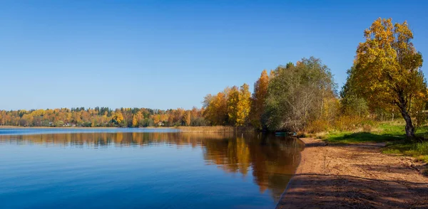 Jesienna Panorama Drzewami Piaszczystym Brzegiem Jeziorem Nad Bezchmurnym Błękitnym Niebem — Zdjęcie stockowe
