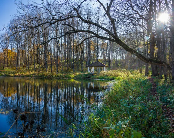 Otoño Parque Abandonado Con Lago Suave Gazebo — Foto de Stock