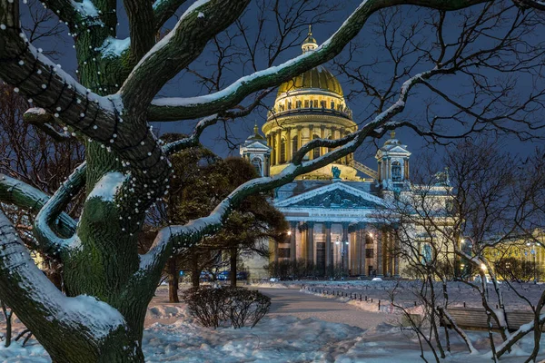 Schneebäume Park Vor Dem Hintergrund Der Isaak Kathedrale Petersburg — Stockfoto