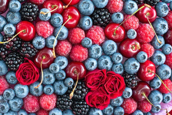 Kleurrijke Achtergrond Gemaakt Van Verschillende Bessen Bloemen — Stockfoto