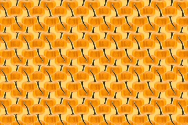Абстрактний Текстурний Фон Складається Невеликих Декоративних Гарбузів Жовто Оранжевих Тонах — стокове фото