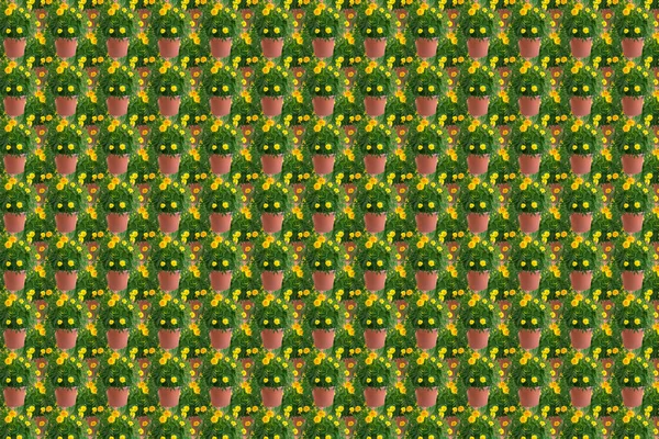 Абстрактный Текстурный Фон Коллажа Состоящий Мэриголд Цветочном Горшке Желтом Зеленом — стоковое фото