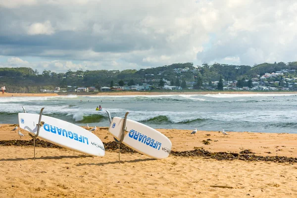 Februar 2020 Avoca Beach Nsw Australia Redningstavler Stranden Med Nordenden stockbilde