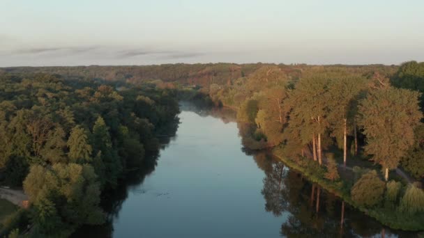 Schöner Morgen Sommerflug Über Den Fluss Nebel Bäume — Stockvideo