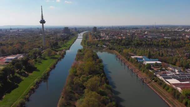 Ovanifrån Vallen Floden Neckar Broar Torn Grönt Gräs Och Träd — Stockvideo