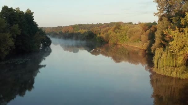 美しい朝 川の上に夏のフライト — ストック動画