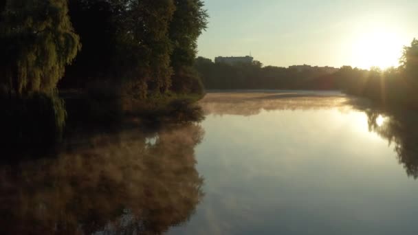 Прекрасний Ранок Літній Політ Над Річкою Туман Дерева — стокове відео