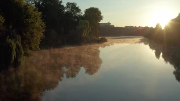 Прекрасний Ранок Літній Політ Над Річкою Туман Дерева — стокове відео