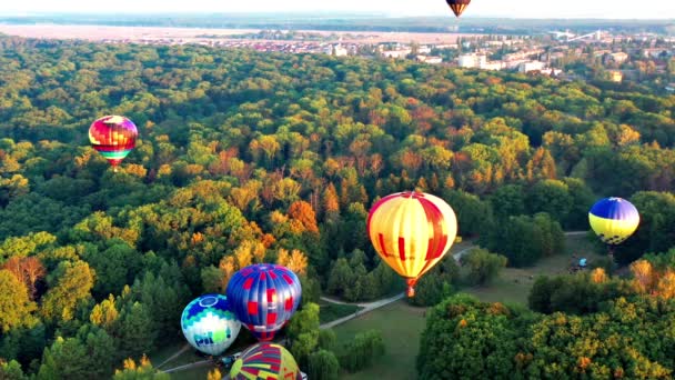 Beaux Rayons Soleil Illuminent Les Ballons Qui Survolent Parc Des — Video
