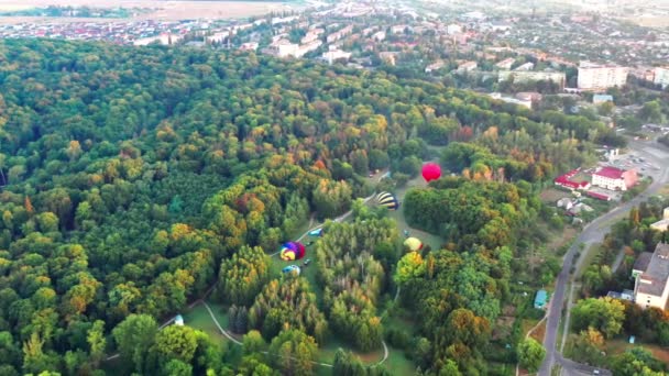 Όμορφες Ηλιαχτίδες Φωτίζουν Μπαλόνια Που Πετούν Πάνω Από Πάρκο Πράσινα — Αρχείο Βίντεο