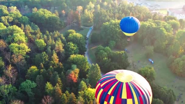 Belos Raios Sol Iluminam Balões Que Voam Sobre Parque Árvores — Vídeo de Stock