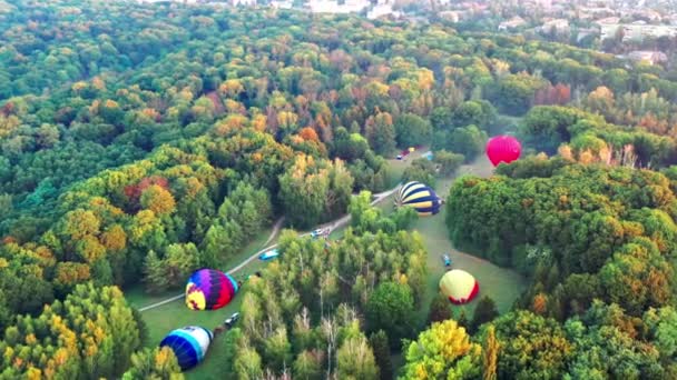 Ładny Widok Park Las Pokryty Zielenią Poranna Rzeka Mgle Małe — Wideo stockowe