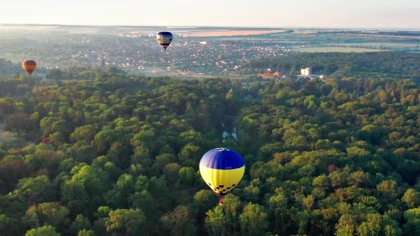Bunte Luftballons Fliegen Über Felder Häuser Bäume — Stockvideo