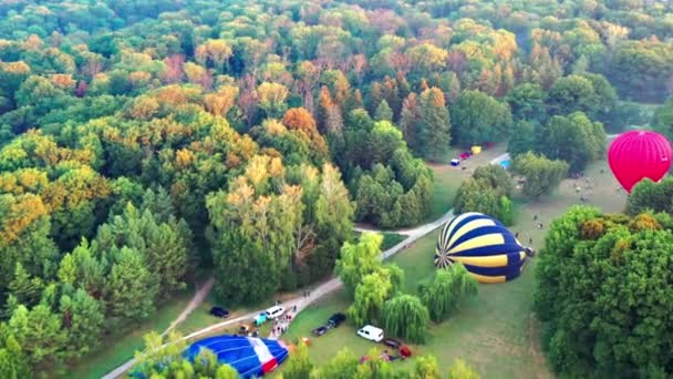 Nice Top View Park Forest Covered Greenery Morning River Fog — Stock Video