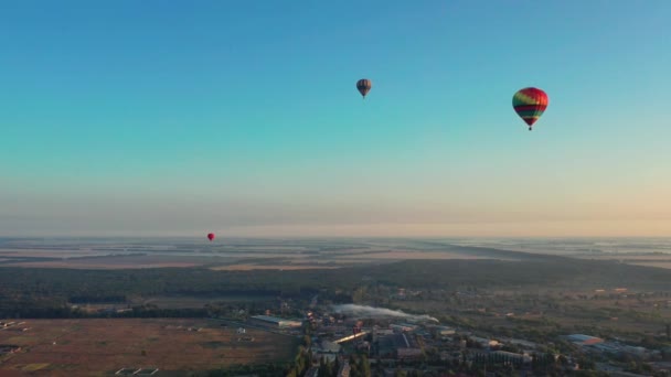 Hermosos Globos Vuelan Sobre Bosque Parque Ciudad Hermoso Vuelo Globo — Vídeo de stock