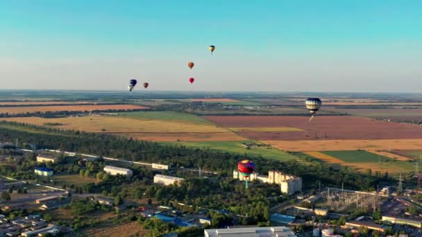 Gyönyörű Lufik Repülnek Erdő Park Város Felett Gyönyörű Esti Léggömb — Stock videók