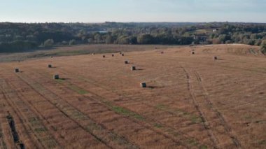 Samanlıkların üzerinde güzel bir sabah uçuşu. Tarla samanla kaplı..